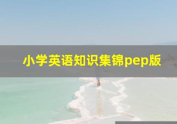 小学英语知识集锦pep版