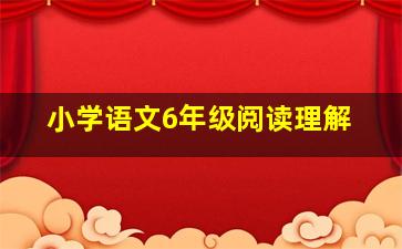 小学语文6年级阅读理解