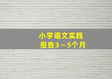 小学语文实践报告3～5个月