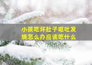 小孩吃坏肚子呕吐发烧怎么办应该吃什么