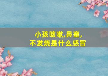 小孩咳嗽,鼻塞,不发烧是什么感冒