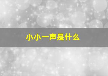 小小一声是什么