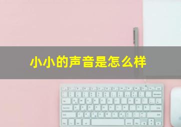 小小的声音是怎么样