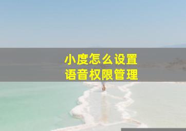 小度怎么设置语音权限管理