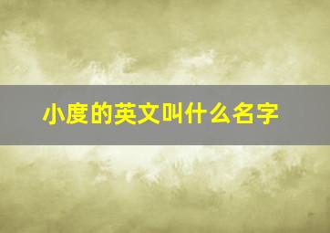 小度的英文叫什么名字