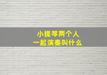 小提琴两个人一起演奏叫什么