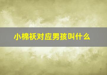 小棉袄对应男孩叫什么