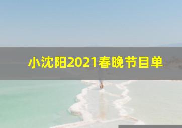 小沈阳2021春晚节目单