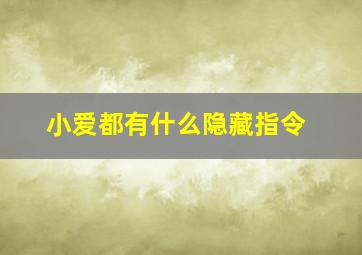 小爱都有什么隐藏指令