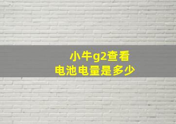 小牛g2查看电池电量是多少