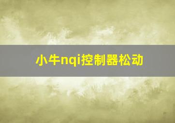 小牛nqi控制器松动