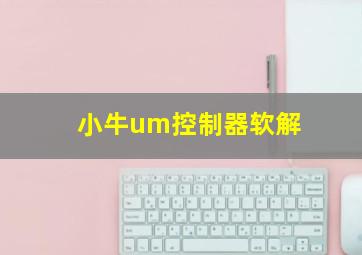 小牛um控制器软解