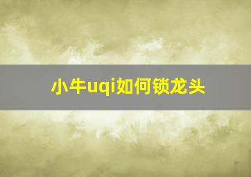 小牛uqi如何锁龙头