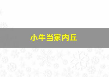 小牛当家内丘