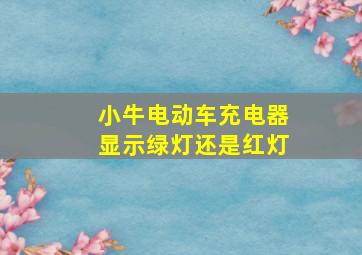 小牛电动车充电器显示绿灯还是红灯