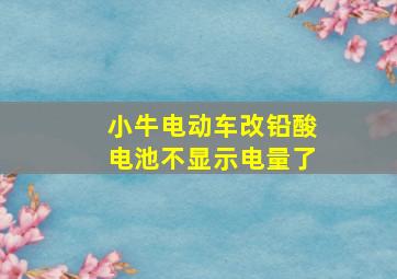 小牛电动车改铅酸电池不显示电量了