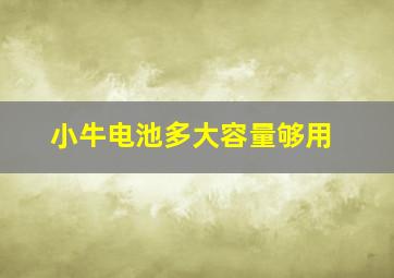 小牛电池多大容量够用