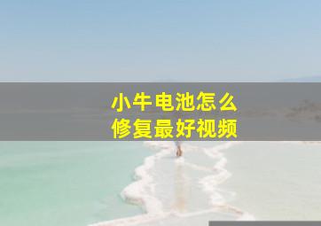 小牛电池怎么修复最好视频