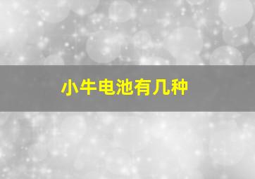 小牛电池有几种