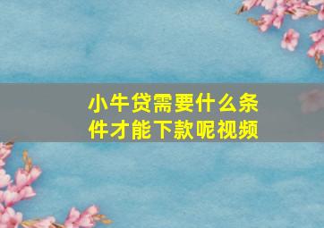 小牛贷需要什么条件才能下款呢视频