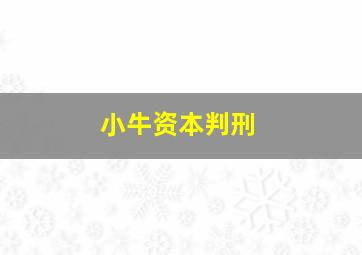 小牛资本判刑