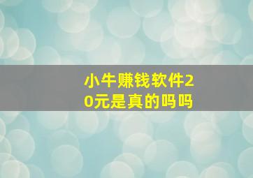 小牛赚钱软件20元是真的吗吗