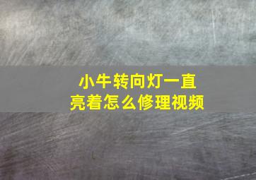 小牛转向灯一直亮着怎么修理视频