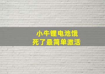 小牛锂电池饿死了最简单激活