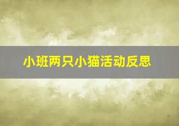 小班两只小猫活动反思