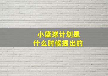 小篮球计划是什么时候提出的