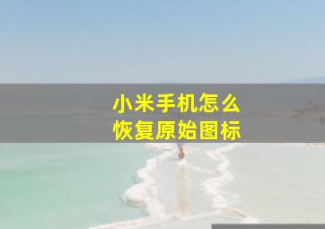 小米手机怎么恢复原始图标