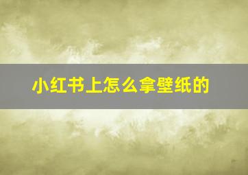 小红书上怎么拿壁纸的