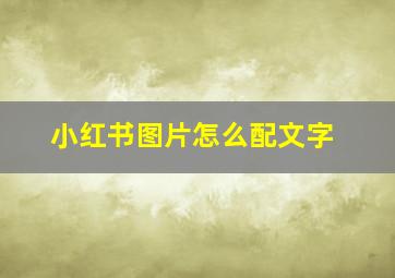 小红书图片怎么配文字