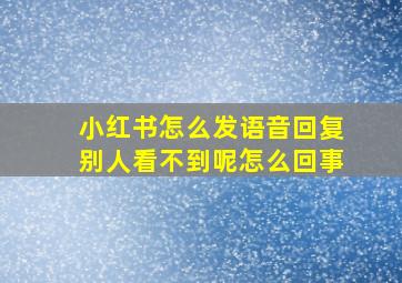 小红书怎么发语音回复别人看不到呢怎么回事