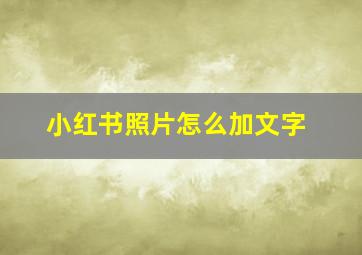 小红书照片怎么加文字