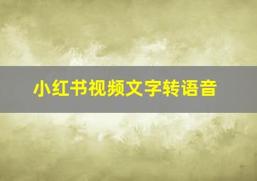 小红书视频文字转语音