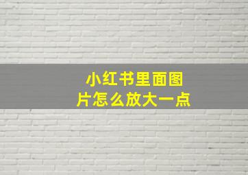 小红书里面图片怎么放大一点