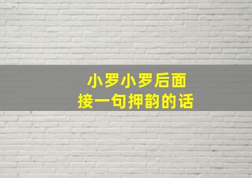 小罗小罗后面接一句押韵的话