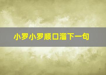 小罗小罗顺口溜下一句