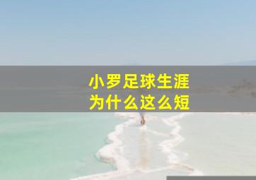 小罗足球生涯为什么这么短