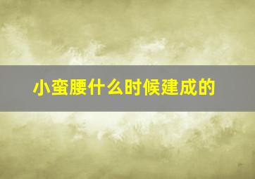 小蛮腰什么时候建成的