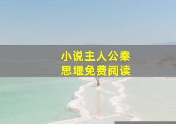 小说主人公秦思堰免费阅读