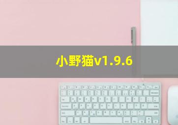 小野猫v1.9.6