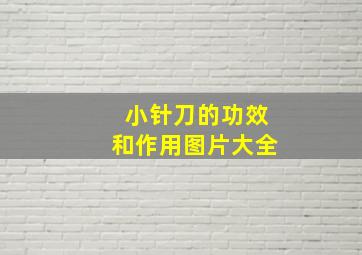 小针刀的功效和作用图片大全