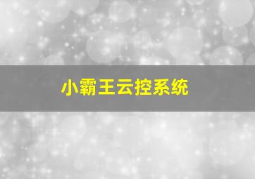 小霸王云控系统