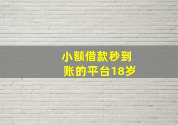 小额借款秒到账的平台18岁