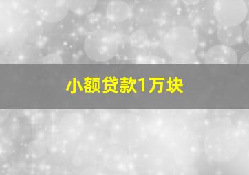 小额贷款1万块