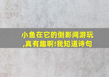 小鱼在它的倒影间游玩,真有趣啊!我知道诗句