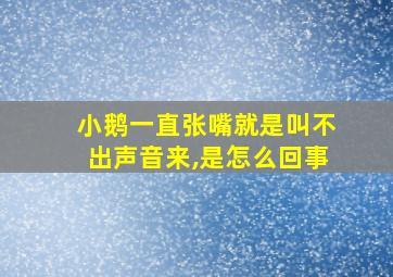 小鹅一直张嘴就是叫不出声音来,是怎么回事