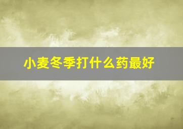 小麦冬季打什么药最好